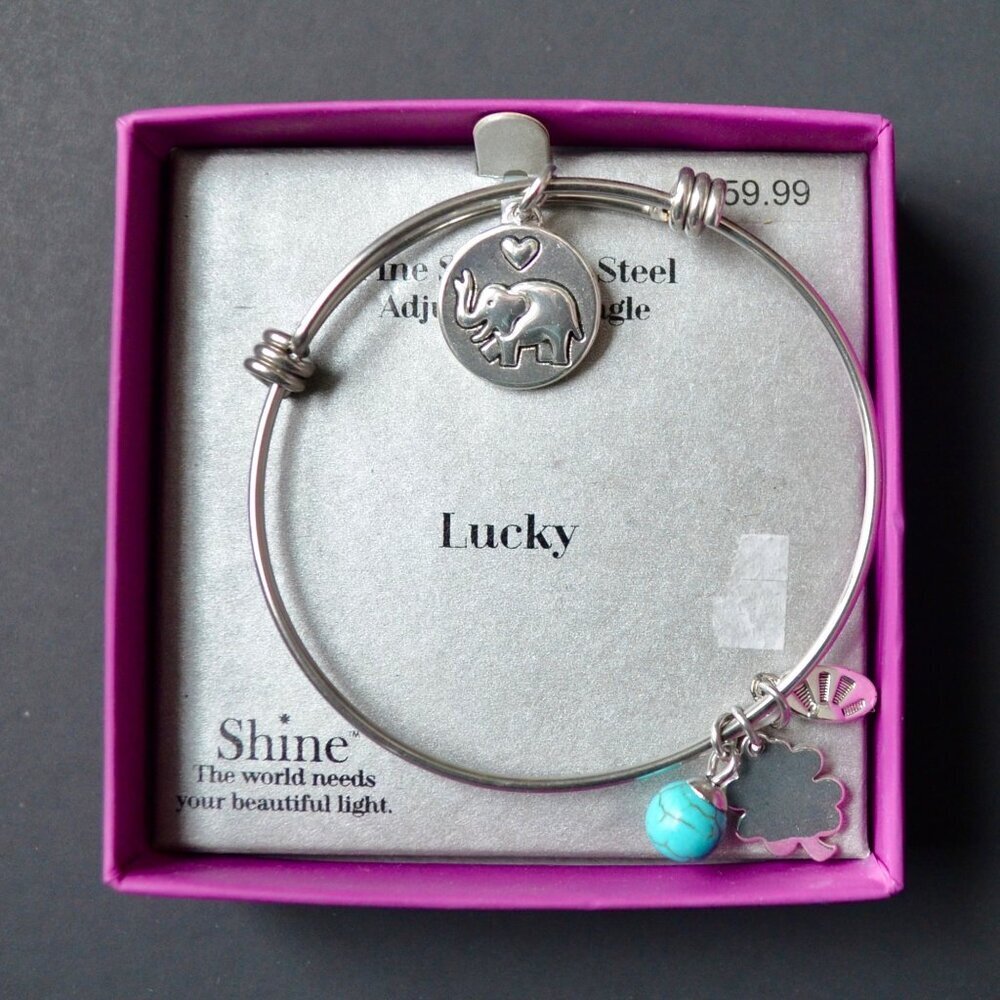 Shine Fine Stainless Steel Adjustable Bangle Bracelet LUCKY New